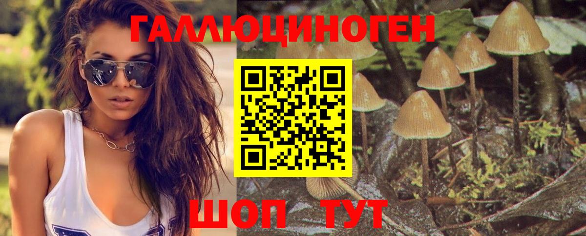 Краснознаменск  Галлюциногенные грибы Magic Shrooms  Галлюциногенные грибы MAGIC MUSHROOMS  Вход с VPN 